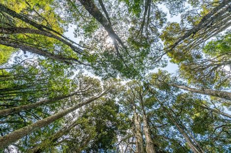 Photo of property in 114 Hamilton Road, Warkworth, 0982