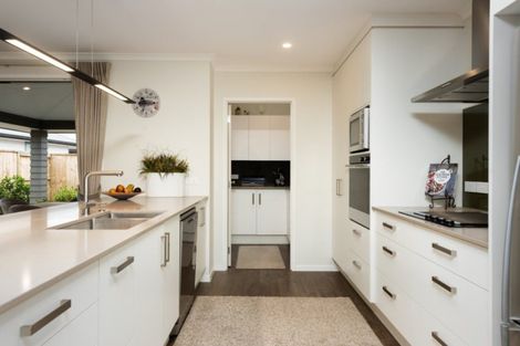 Photo of property in 61 Te Ranga Memorial Drive, Pyes Pa, Tauranga, 3112