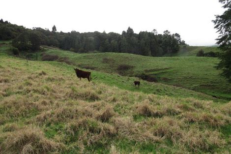 Photo of property in 24 Falls Road, Hunua, Papakura, 2583