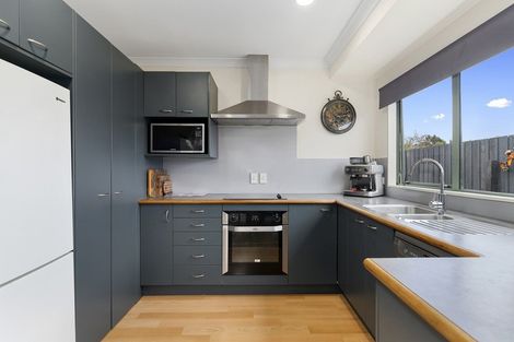 Photo of property in 217 Tramway Road, Enderley, Hamilton, 3214