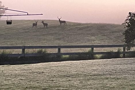 Photo of property in 154 Ponsford Road, Pollok, Waiuku, 2684