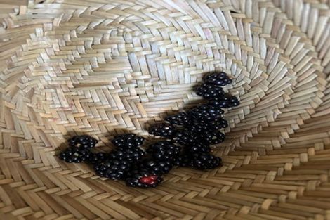 Photo of property in 1314 Wairamarama Onewhero Road, Onewhero, Tuakau, 2697