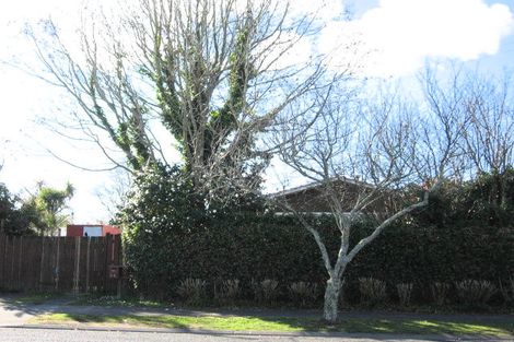 Photo of property in 51 Alderson Road, Fairview Downs, Hamilton, 3214