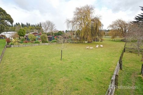 Photo of property in 187 Te Whiti Road, Homebush, Masterton, 5885