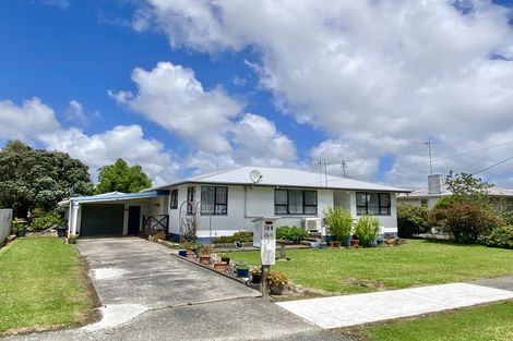 Photo of property in 149 Gordon Street, Dargaville, 0310