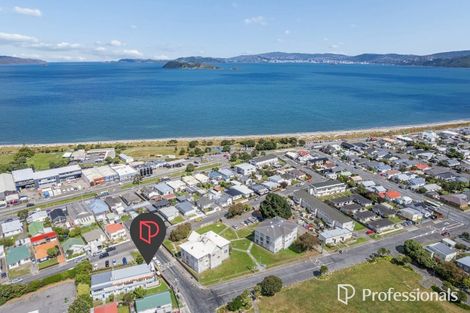 Photo of property in 100 Adelaide Street, Petone, Lower Hutt, 5012