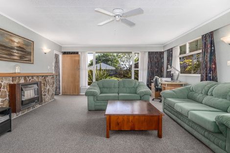 Photo of property in 115 Winchester Street, Levin, 5510