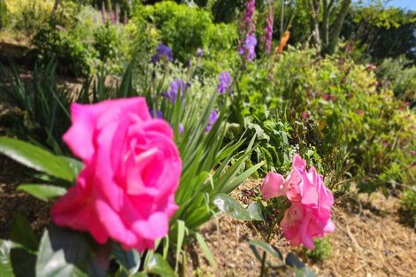 Photo of property in 57 Armstrong Road, Te Puna, Tauranga, 3174