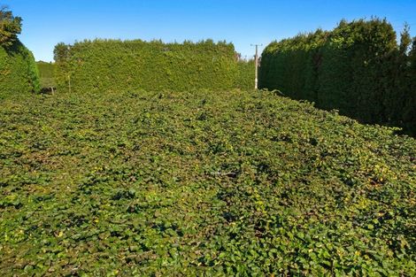 Photo of property in 31 Clark Cross Road, Otara, Opotiki, 3197