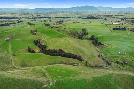 Photo of property in 364 Quine Road, Tahuna, Morrinsville, 3373