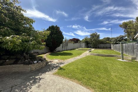 Photo of property in 20 Oakland Street, Andersons Bay, Dunedin, 9013