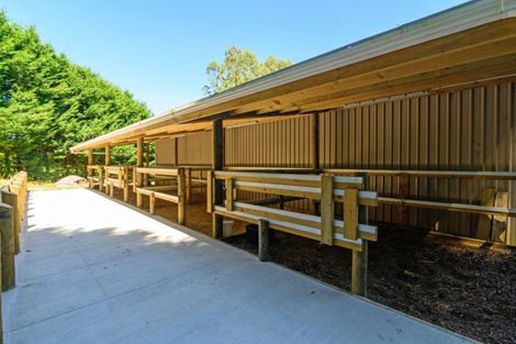 Photo of property in 818b Paradise Valley Road, Ngongotaha Valley, Rotorua, 3072