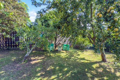Photo of property in 10 Andrews Street, Paeroa, 3600