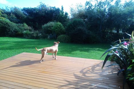 Photo of property in 43 Waituna Back Road, Waimate, 7978