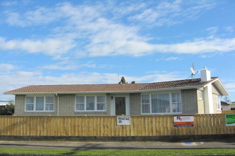 Photo of property in 38 Parsons Avenue, Levin, 5510
