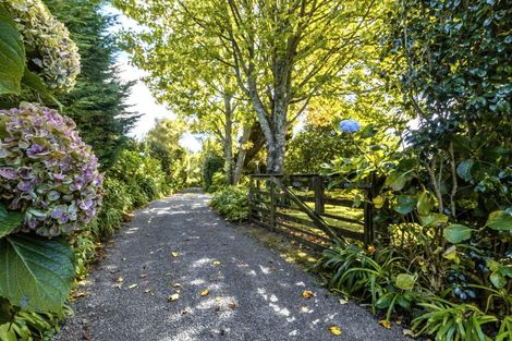 Photo of property in 356 Belk Road, Omanawa, Tauranga, 3171