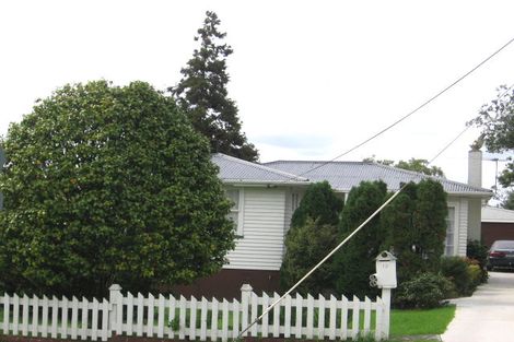 Photo of property in 19 Geordie Street, Henderson, Auckland, 0612