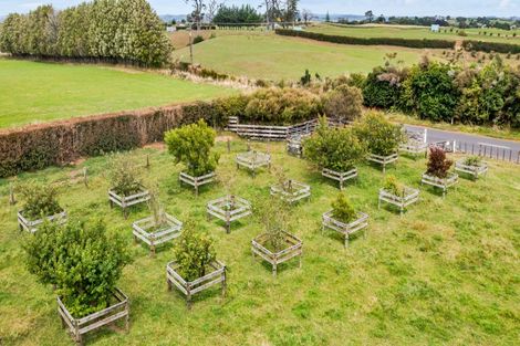 Photo of property in 40 Climie Road, Ngaere, Stratford, 4391