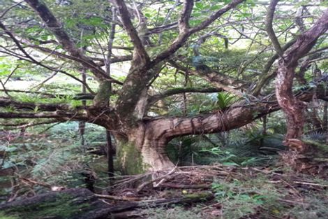 Photo of property in 31 Waitorupai Way, Matapouri, Whangarei, 0173