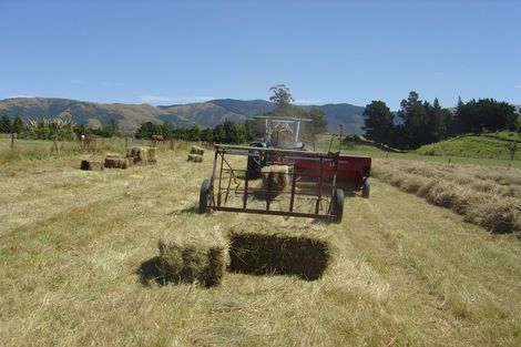 Photo of property in 43 Waituna Back Road, Waimate, 7978