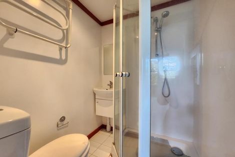 Photo of property in 29 Devon Street, Aro Valley, Wellington, 6021