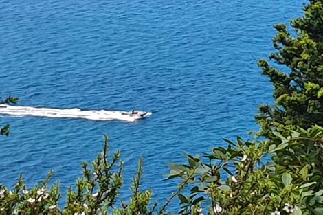 Photo of property in 14 Pacific Drive, Tairua, 3508