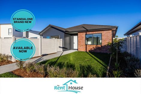 Photo of property in 124 Pepene Avenue, Takanini, Auckland, 2112