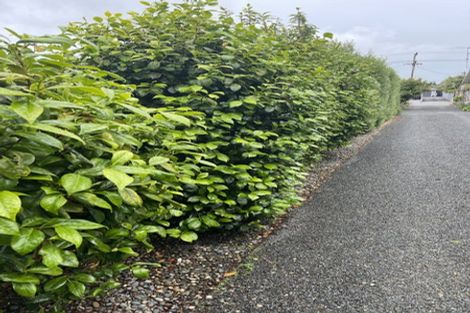 Photo of property in 3/25 Elgin Street, Grasmere, Invercargill, 9810