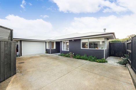 Photo of property in 651a Featherston Street, Roslyn, Palmerston North, 4414