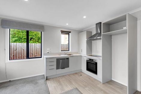 Photo of property in 1/206 Ulster Street, Whitiora, Hamilton, 3200