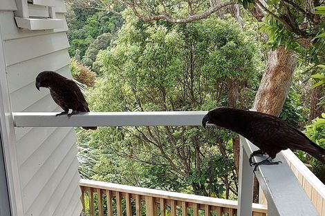 Photo of property in 48 Moana Road, Kelburn, Wellington, 6012