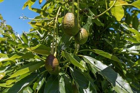 Photo of property in 2276 Gordonton Road, Taupiri, 3791