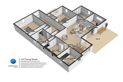 Photo of property in 113 Young Street, Te Awamutu, 3800