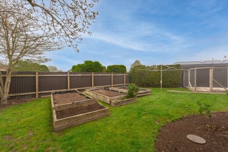 Photo of property in 5 Williamson Place, Geraldine, 7930