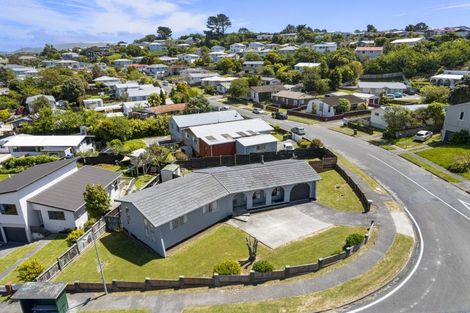 Photo of property in 62 Desert Gold Street, Ascot Park, Porirua, 5024