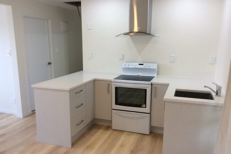 Photo of property in 17 Sapphire Place, Bayview, Auckland, 0629