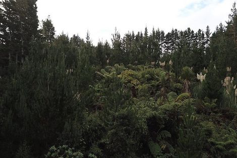 Photo of property in 613 Awaroa Road, Broadwood, Kaitaia, 0481