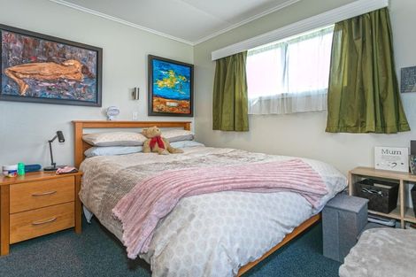 Photo of property in 404a Ensor Street, Thames, 3500