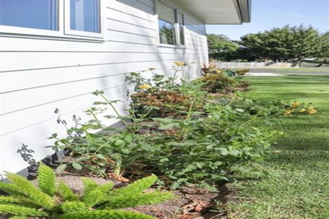 Photo of property in 14 Harlock Place, Huntly, 3700