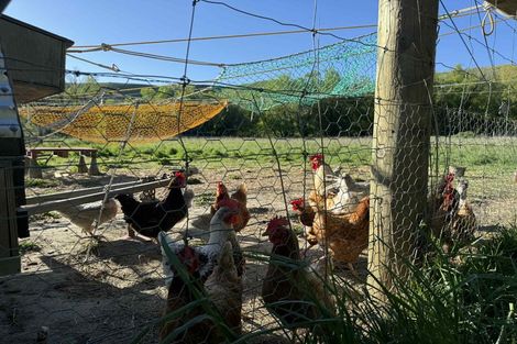 Photo of property in 633 Ardgour Road, Tarras, Cromwell, 9383