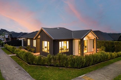 Photo of property in 84 Maurice Kelly Road, Wainui, 0932