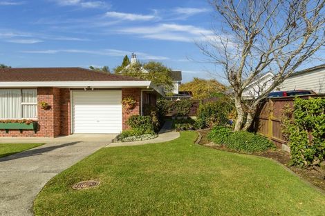 Photo of property in 266b Otumoetai Road, Otumoetai, Tauranga, 3110