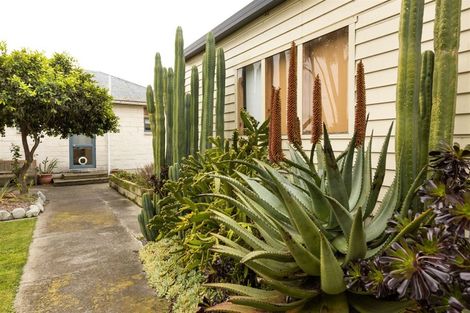 Photo of property in 17 Havelock Street, Renwick, 7204