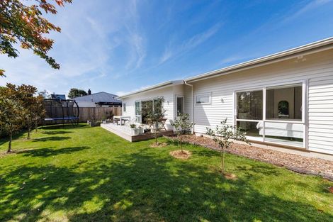 Photo of property in 34 Worcester Street, West End, Palmerston North, 4410