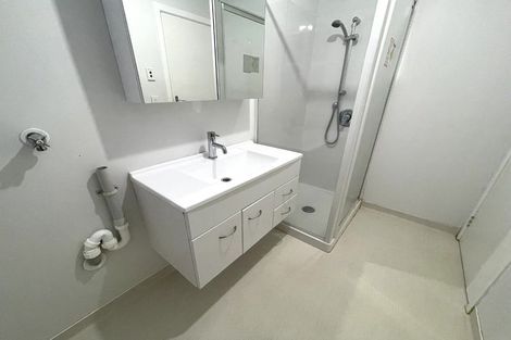 Photo of property in 88a Wilson Street, Newtown, Wellington, 6021