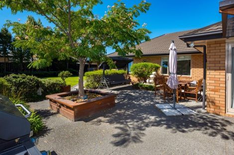 Photo of property in 27 Tremorne Avenue, Blenheim, 7201