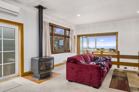 Photo of property in 117 Forfar Street, Clyde Hill, Dunedin, 9011