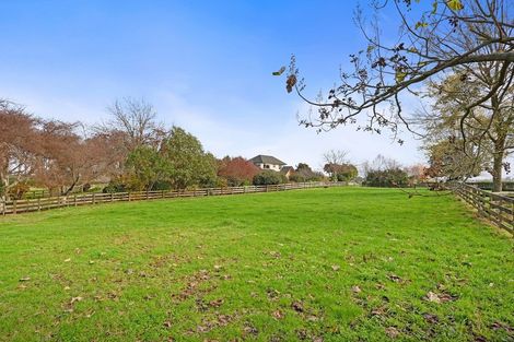 Photo of property in 4894 Ohaupo Road, Te Awamutu, Ohaupo, 3883