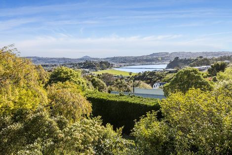 Photo of property in 87 Jeffery Street, Andersons Bay, Dunedin, 9013