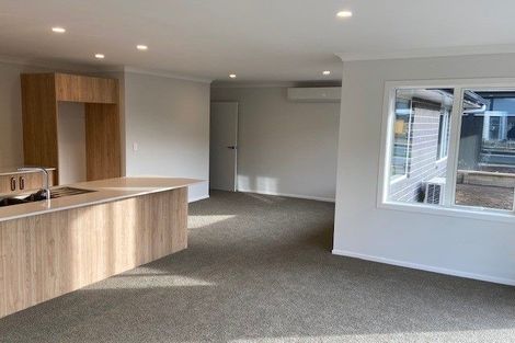 Photo of property in 24 Ruru Street, Cambridge, 3434